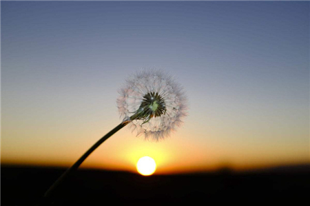 1521076138733085.jpg 1.jpg